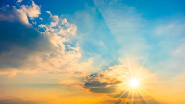 Фото: Shutterstock/Guenter Albers