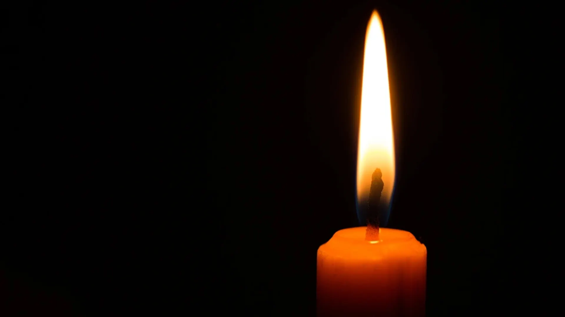 Фото: Pushish Images/Shutterstock/Fotodom