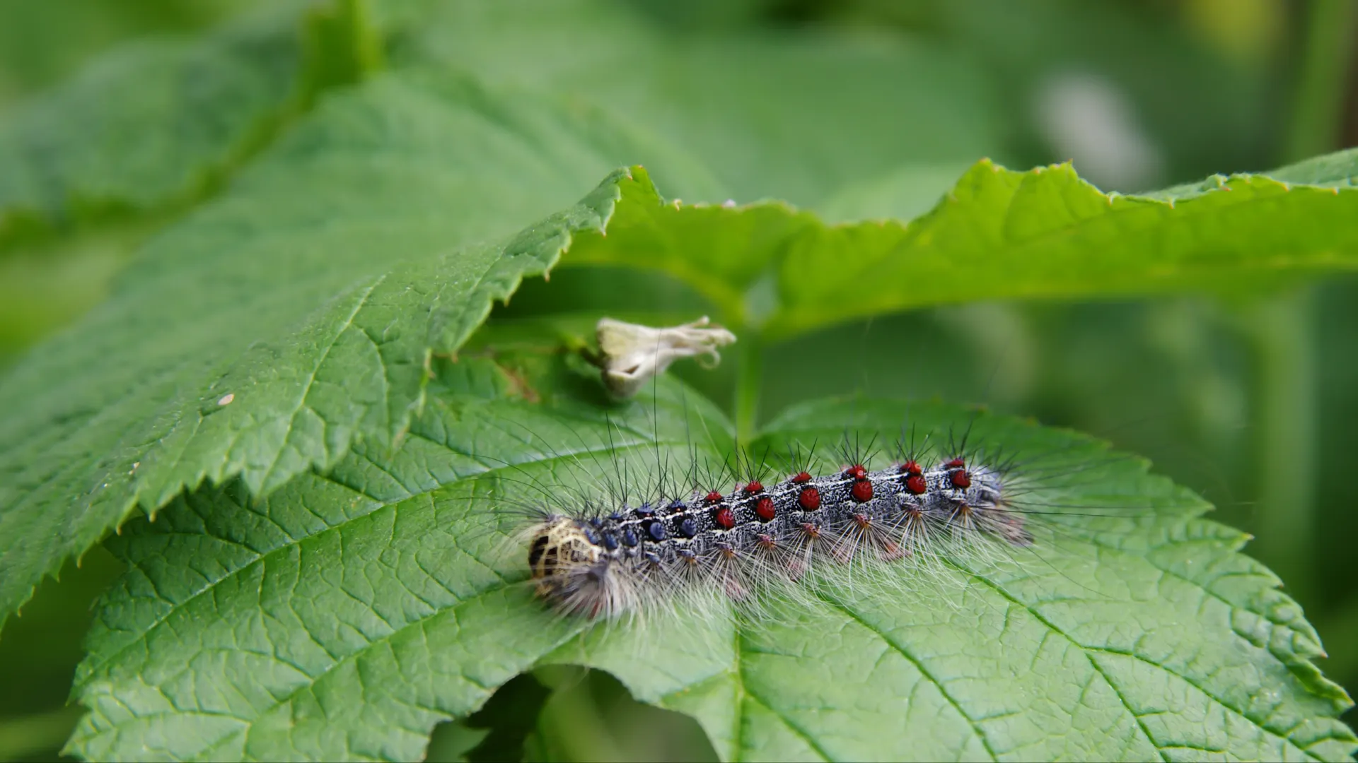 Фото: Федор Воронов / «Ямал-Медиа»