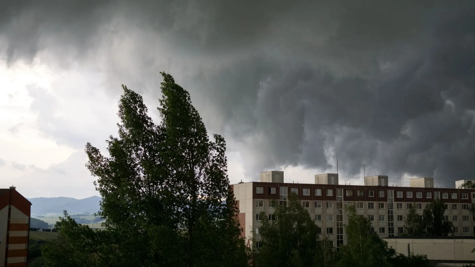 Фото: Vechterova Valeria/Shutterstock/Fotodom