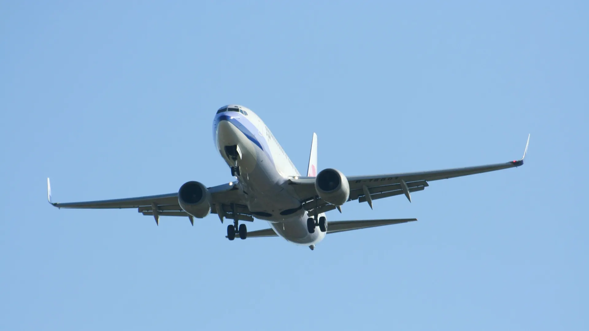 Фото: nitinut380/Shutterstock/Fotodom