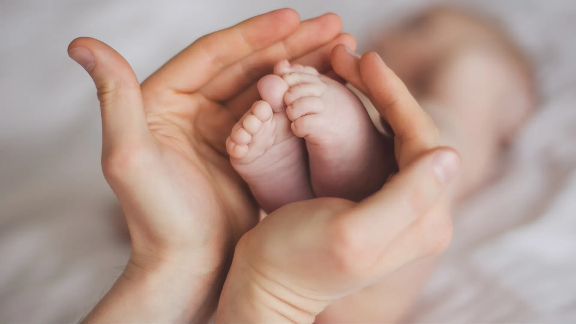 Фото: MakeStory Studio/Shutterstock/Fotodom