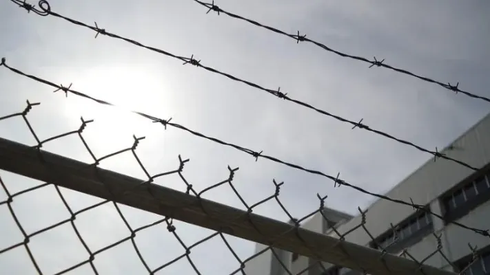 Фото: pixabay.com