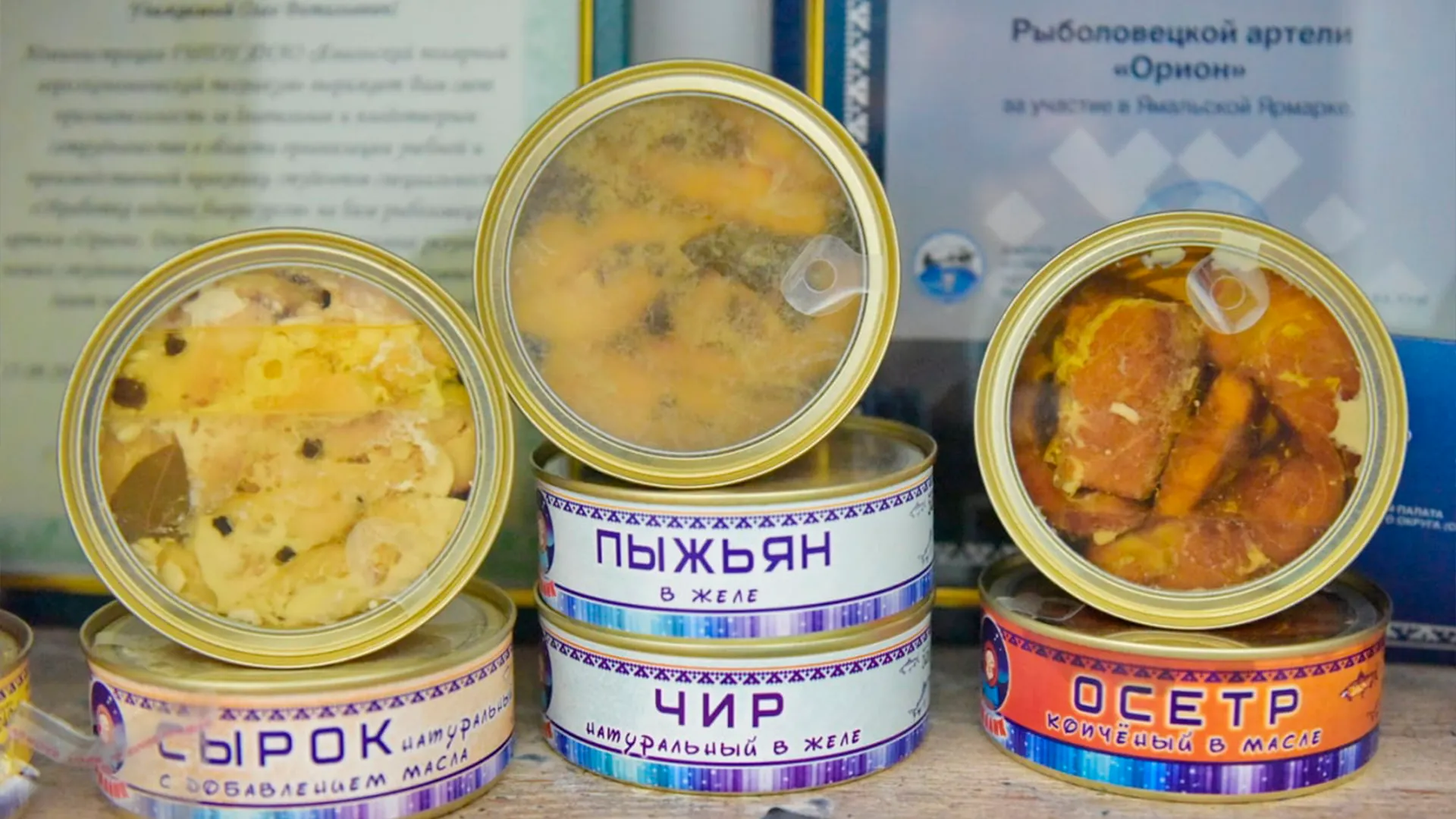 Фото: Андрей Ткачёв