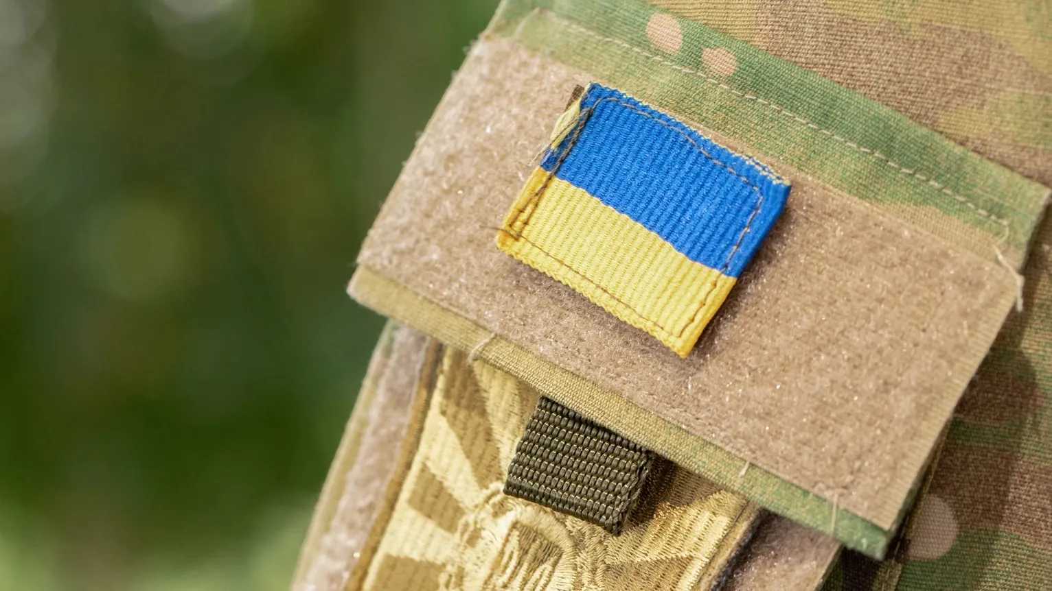 mykhailo pavlenko \ Shutterstock.com