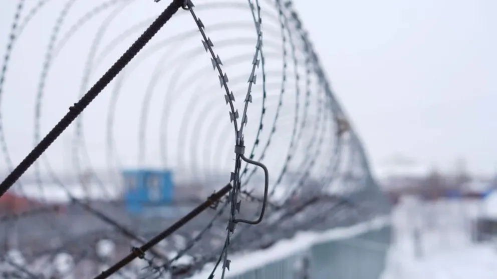 Фото: «Ямал-Медиа»