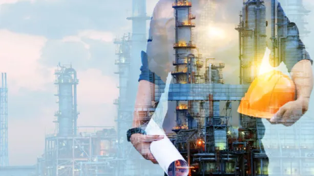 Shutterstock.com/Pand P Studio