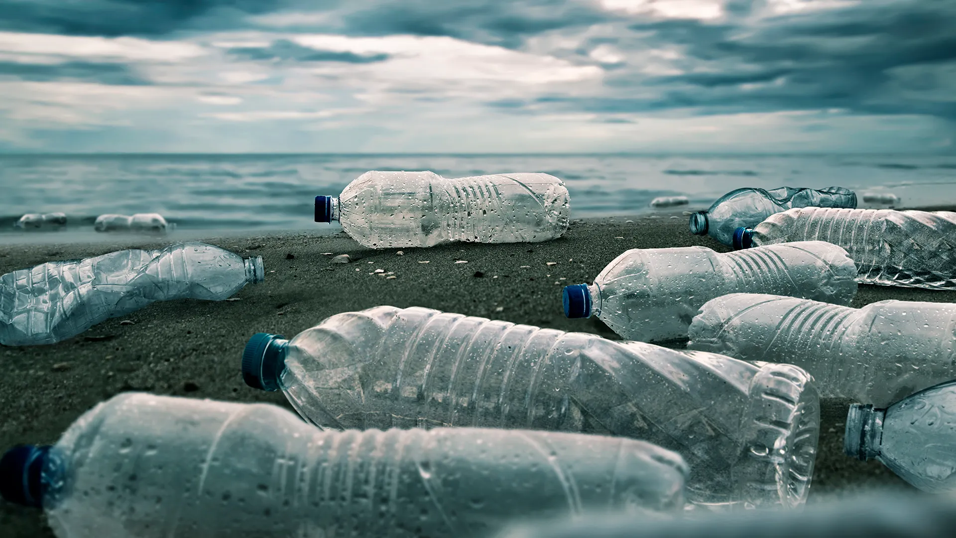 Фото: chaiyapruek youprasert/shutterstock.com