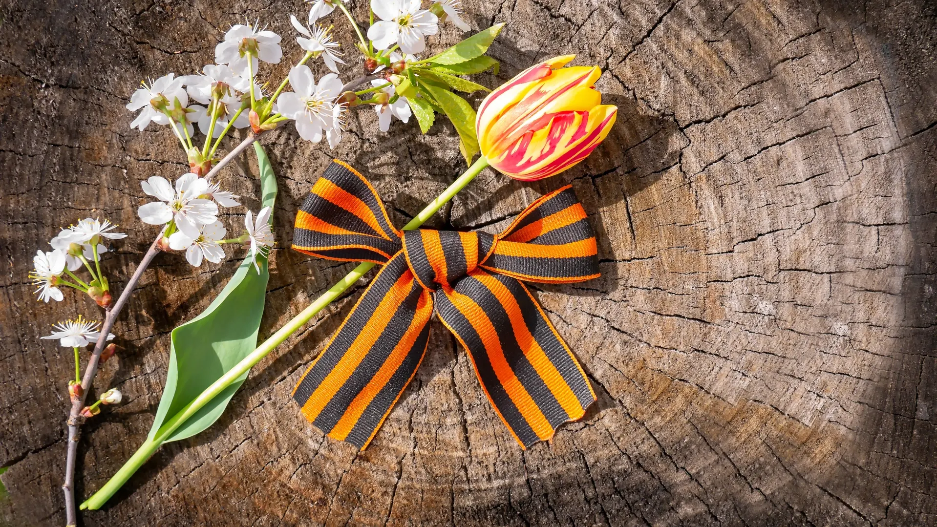 Фото: Chitaika/Shutterstock/Fotodom