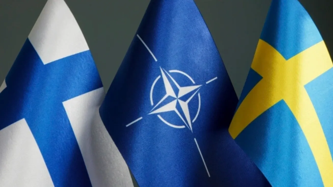 Фото: Vitalii Vodolazskyi/Shutterstock/Fotodom