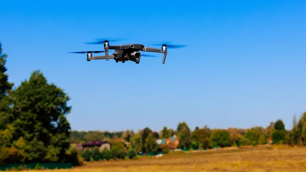 Фото: nblx/Shutterstock/Fotodom