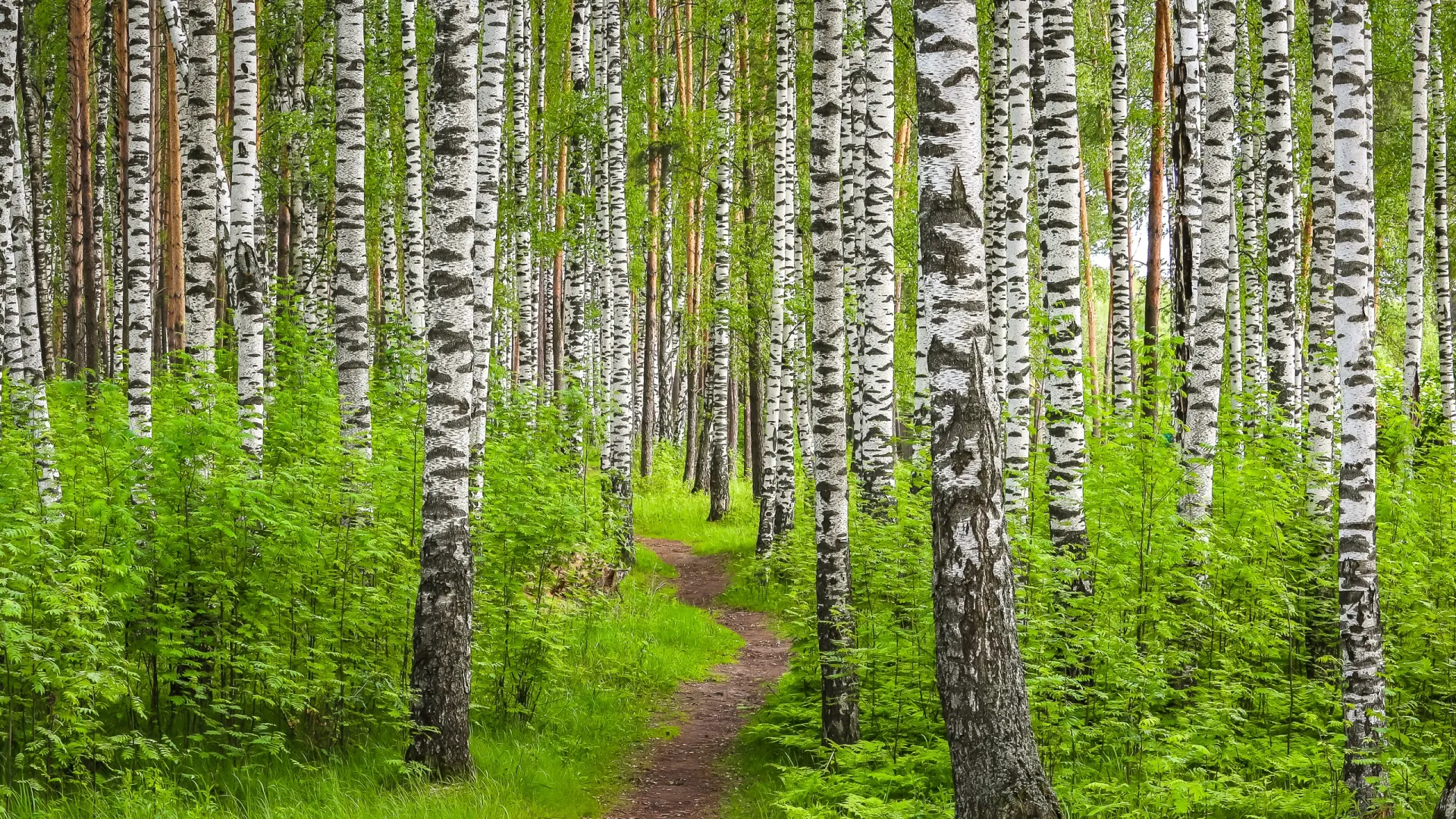 Фото: Denis.Vostrikov/Shutterstock/Fotodom