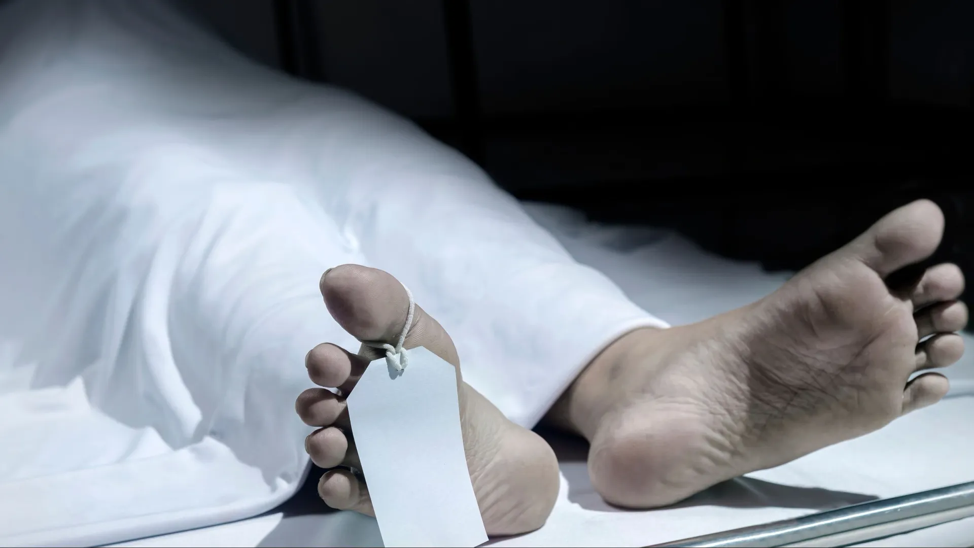 Фото: leolintang/Shutterstock/Fotodom