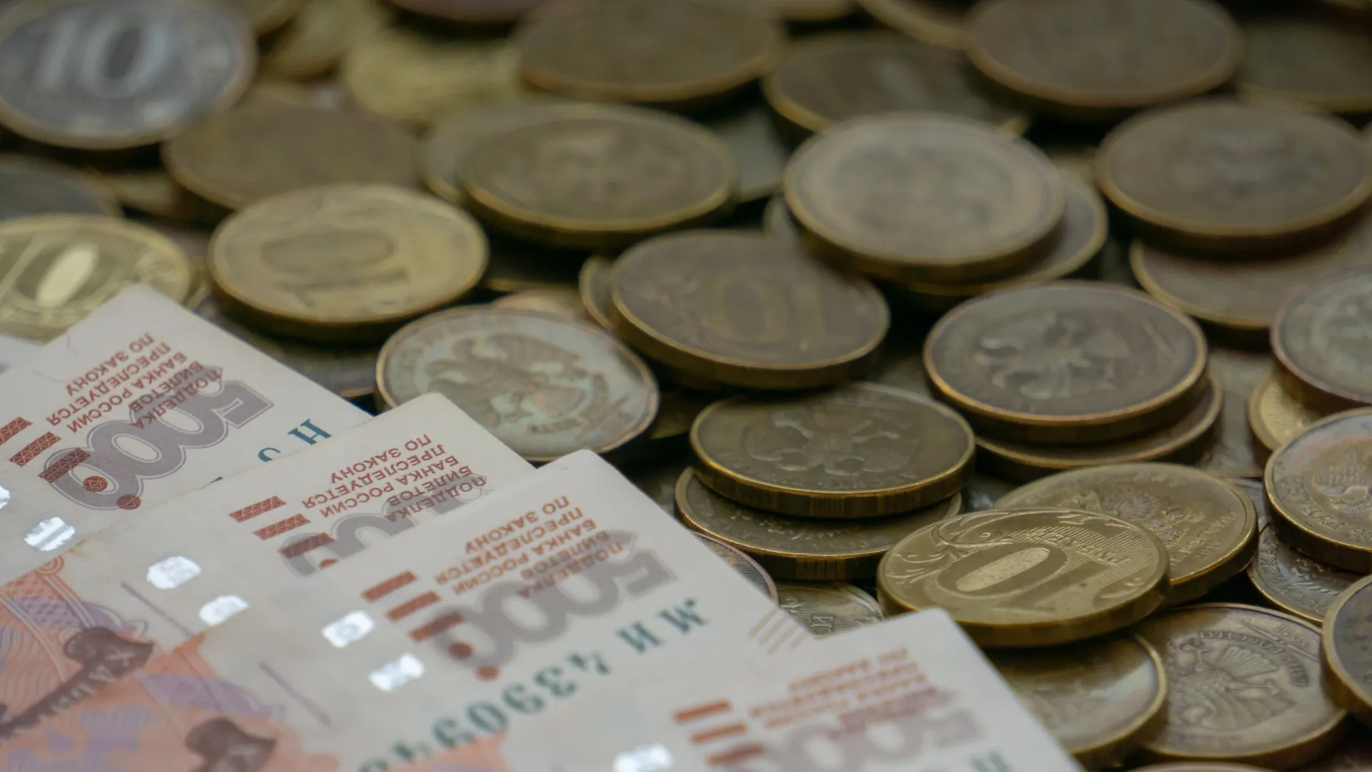 Фото: Ushakova Mariya/Shutterstock/Fotodom