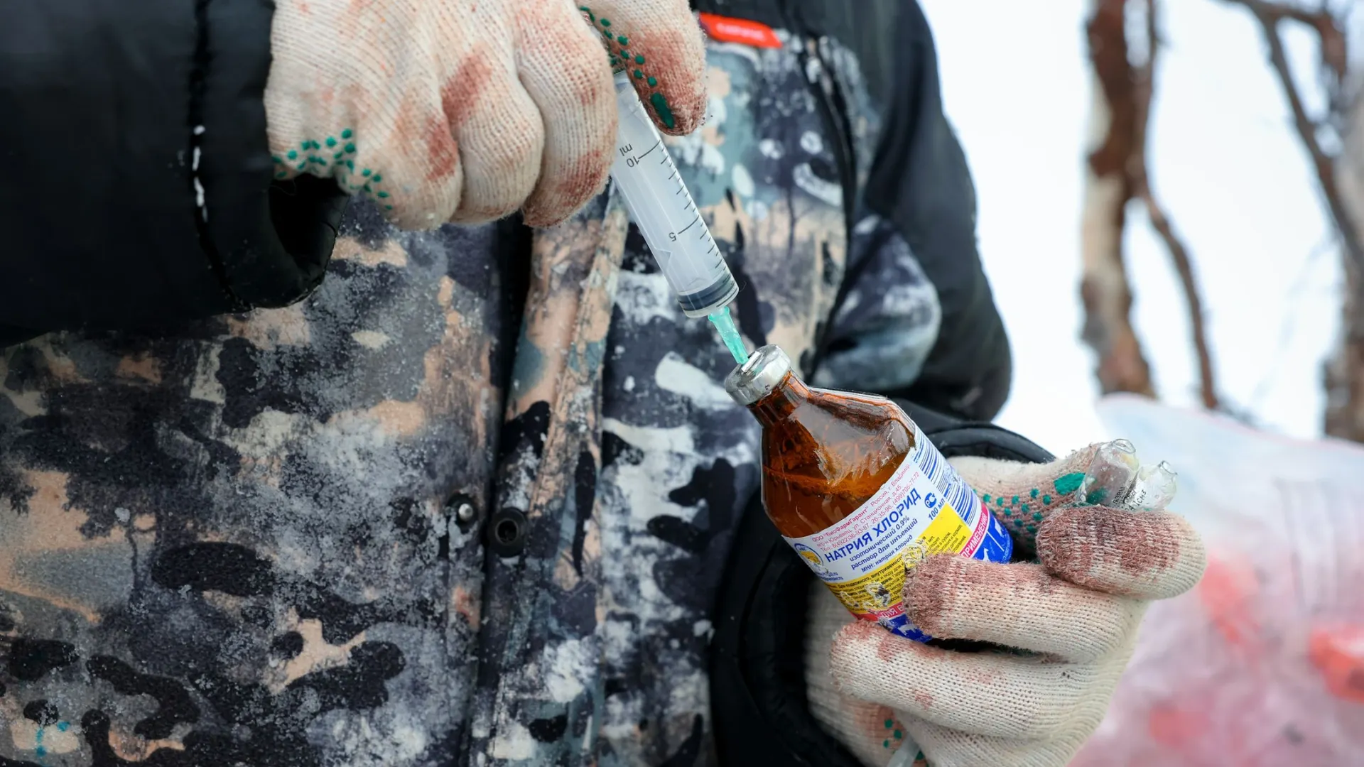 Фото: Андрей Ткачев/«Ямал-Медиа»