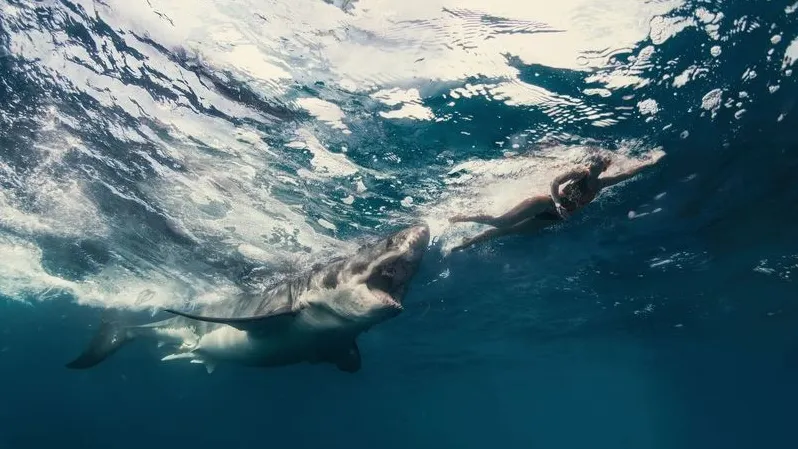 Фото: Willyam Bradberry/Shutterstock/Fotodom