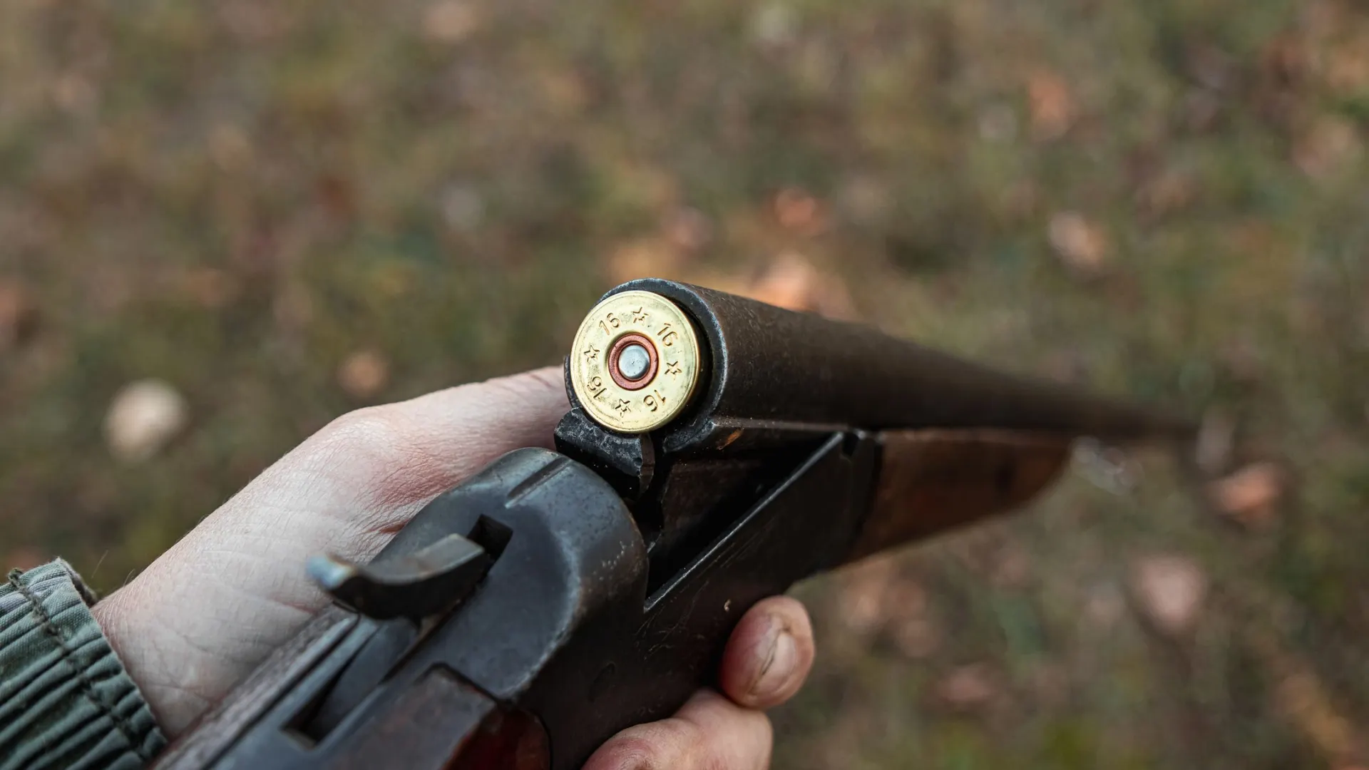 Фото: Marko Aliaksandr/Shutterstock/Fotodom