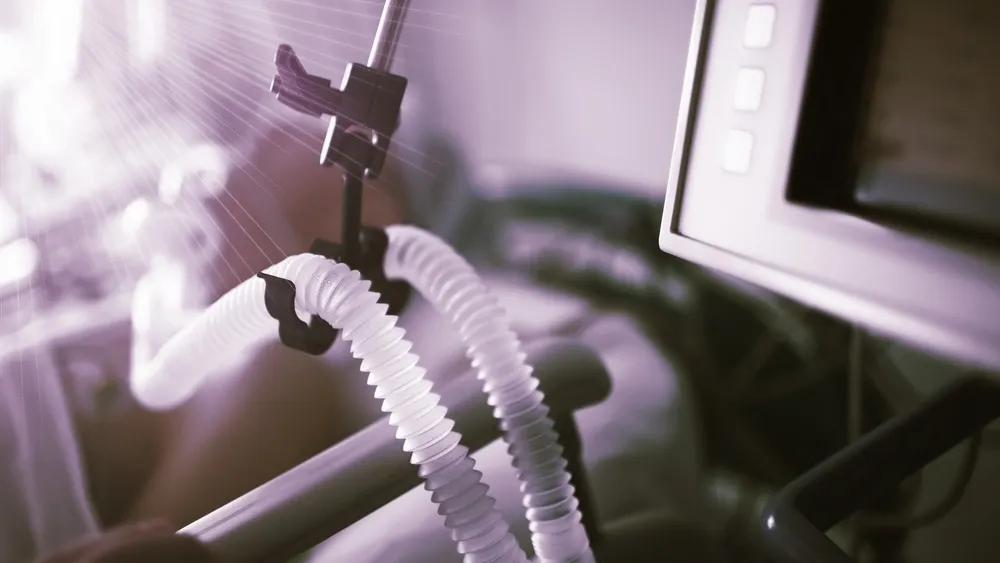 Фото: sfam_photo/Shutterstock/Fotodom