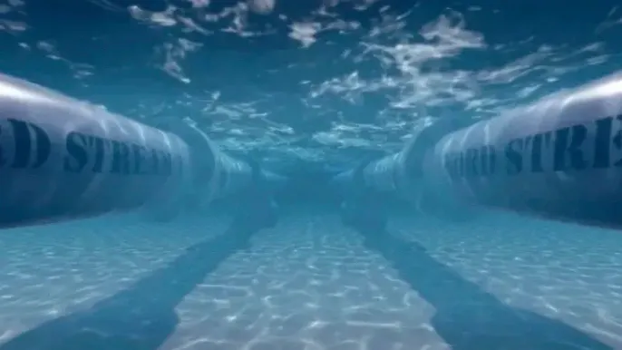 Фото: dragancfm/Shutterstock/Fotodom