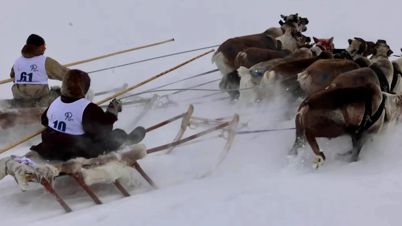 Фото: t.me/puradm