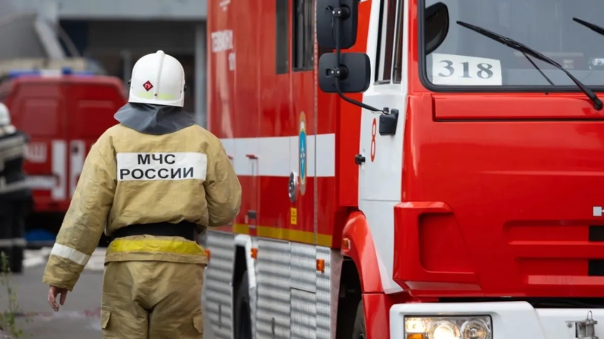 Фото: Al.geba/shutterstock.com/Fotodom