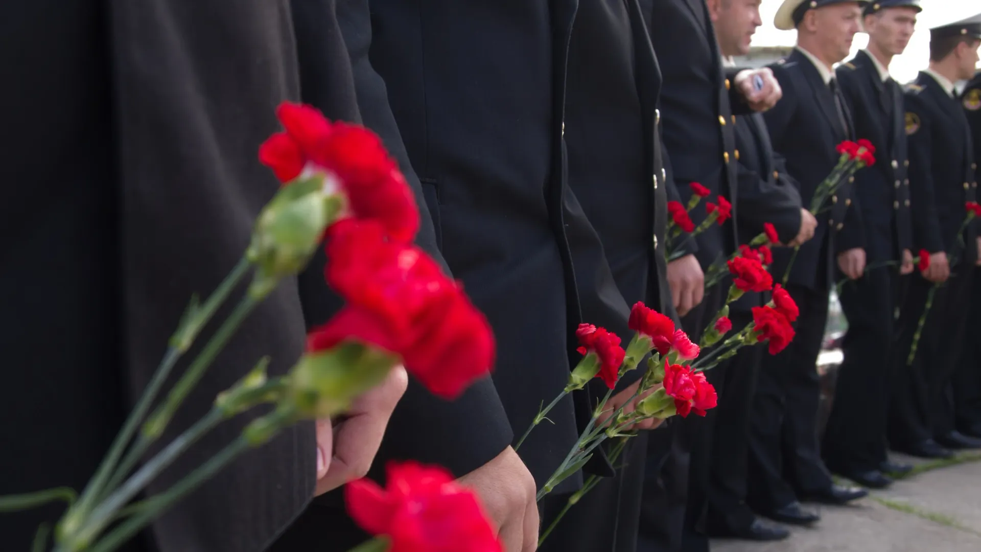 Фото: VPales/Shutterstock/Fotodom