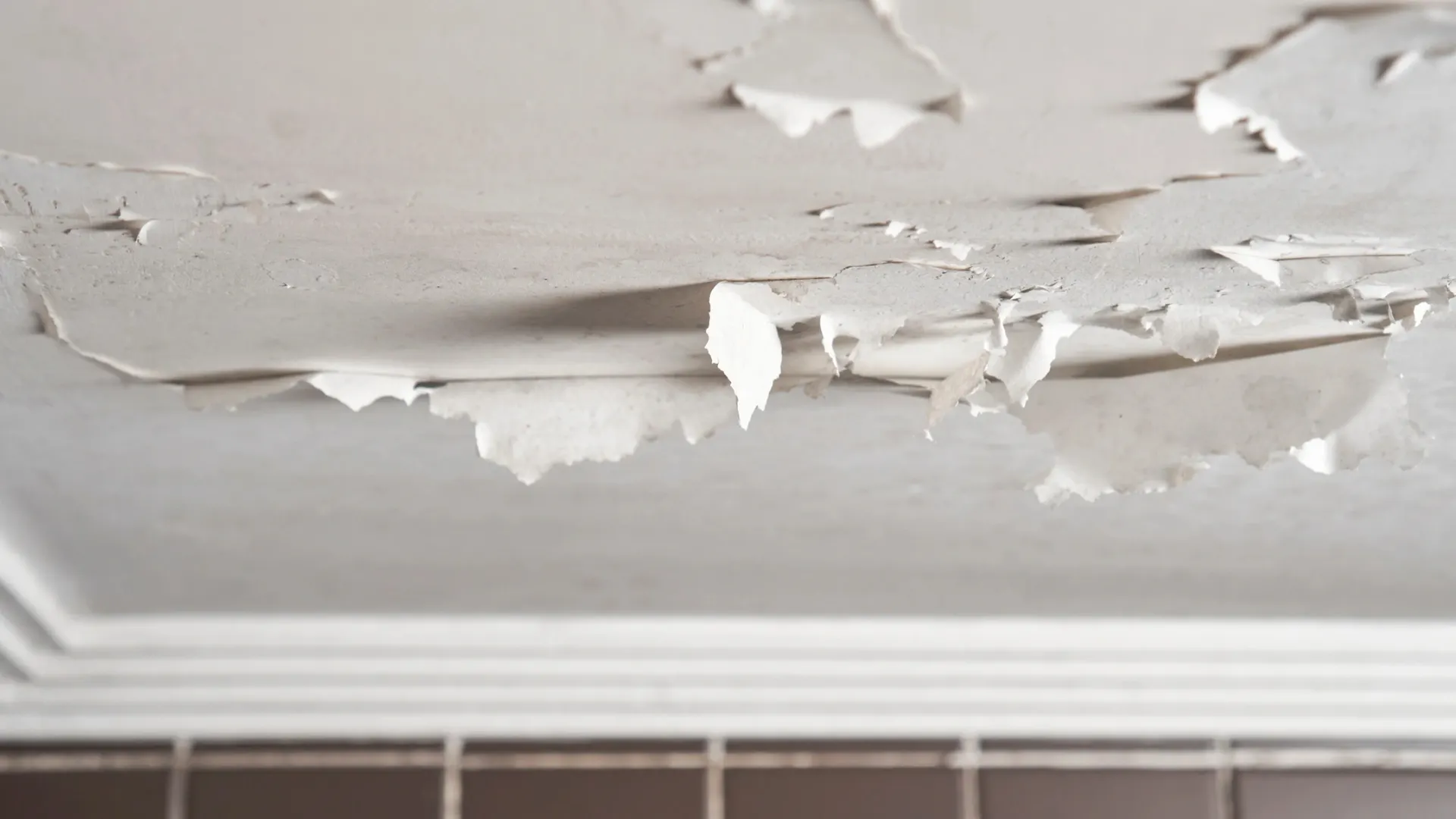 Фото: Pavel105/Shutterstock/Fotodom