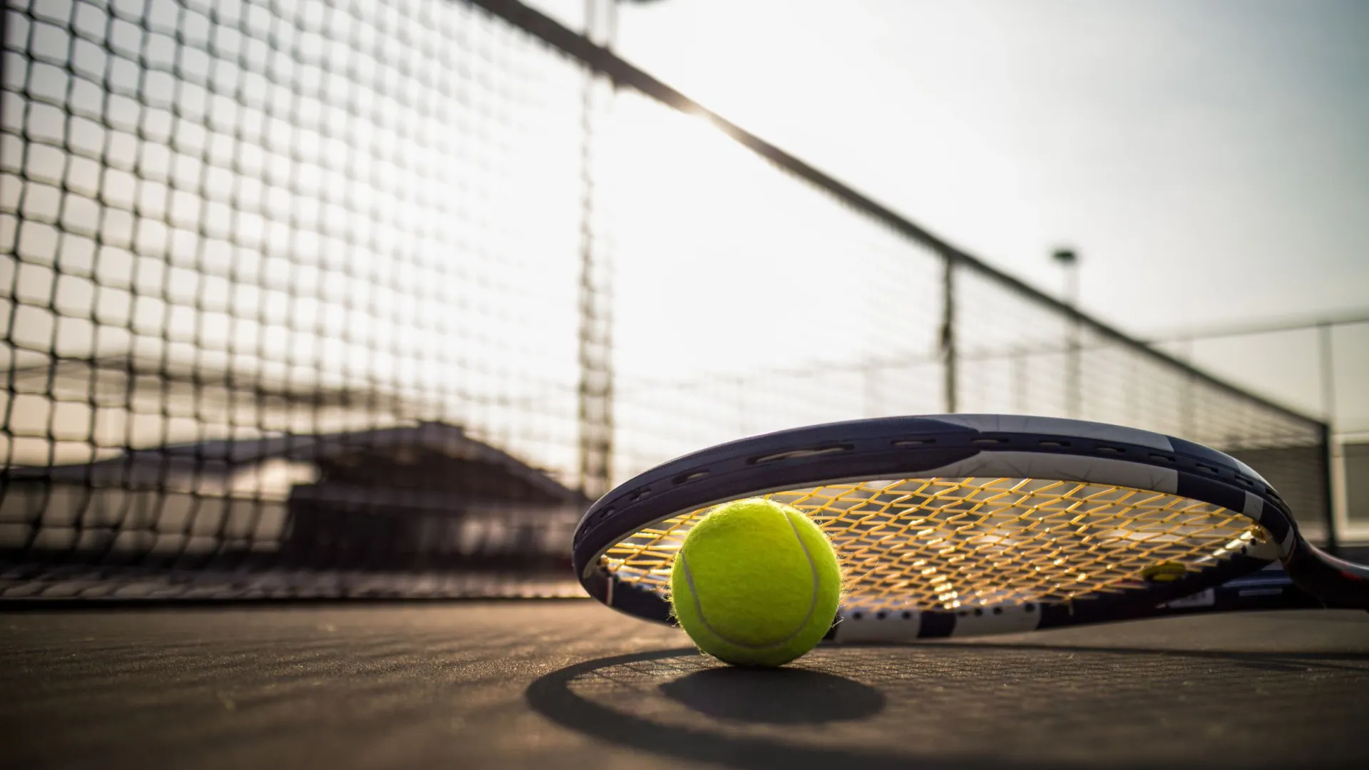 Фото: icedmocha/Shutterstock/Photodom