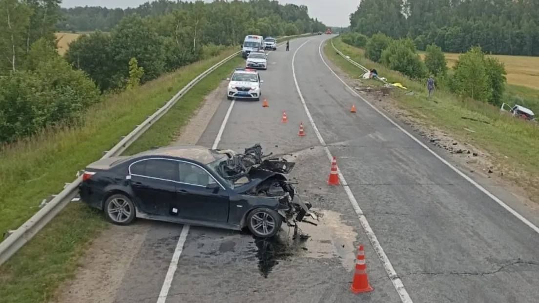 Фото: t.me/gumvd50/