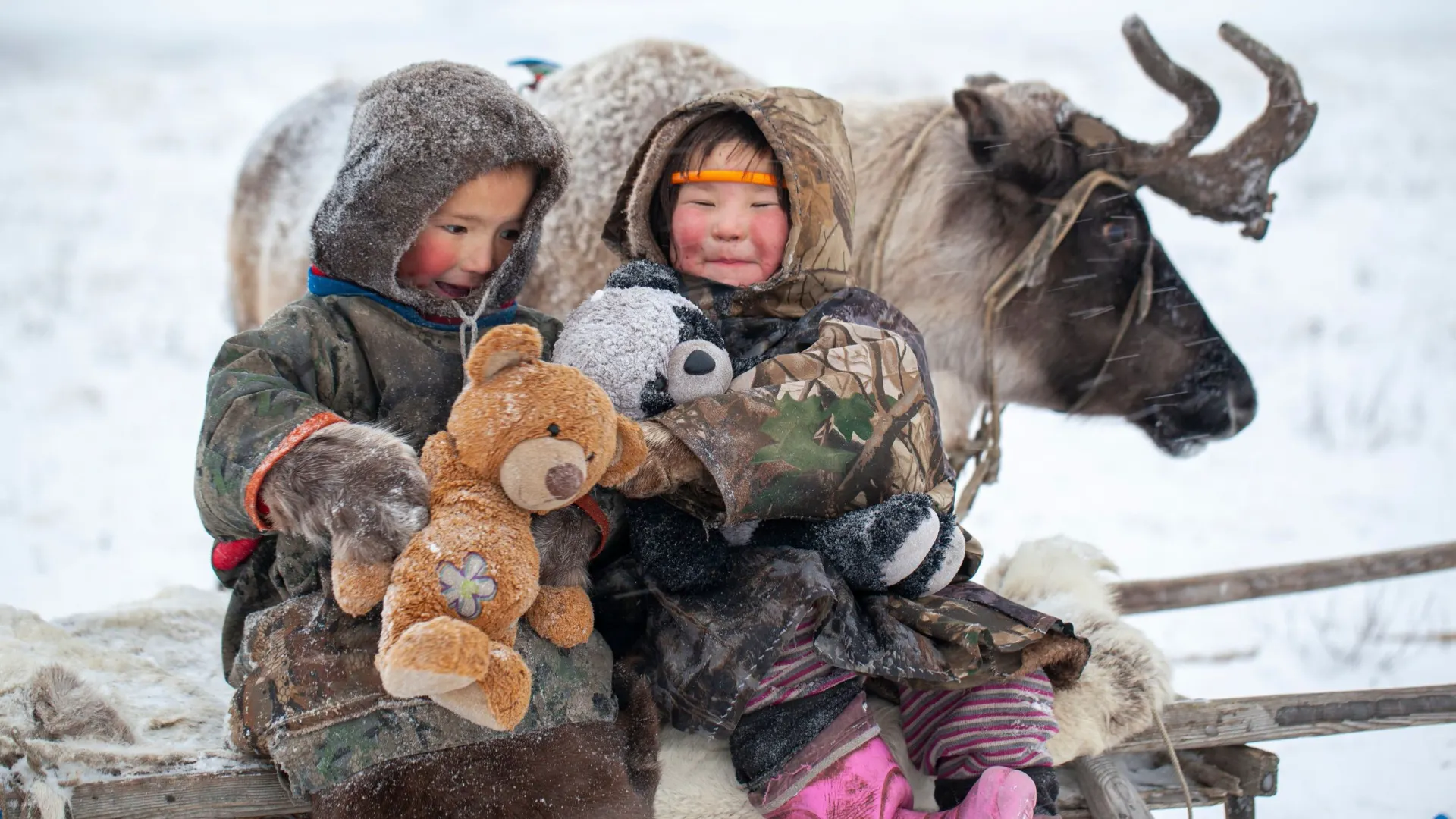 Фото: evgenii mitroshin/Shutterstock/Fotodom