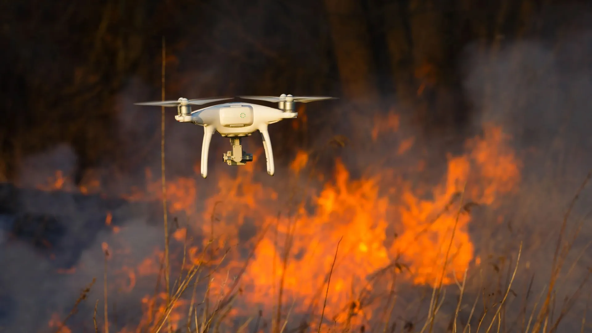 Фото: Konstantin Tronin/Shutterstock/Fotodom