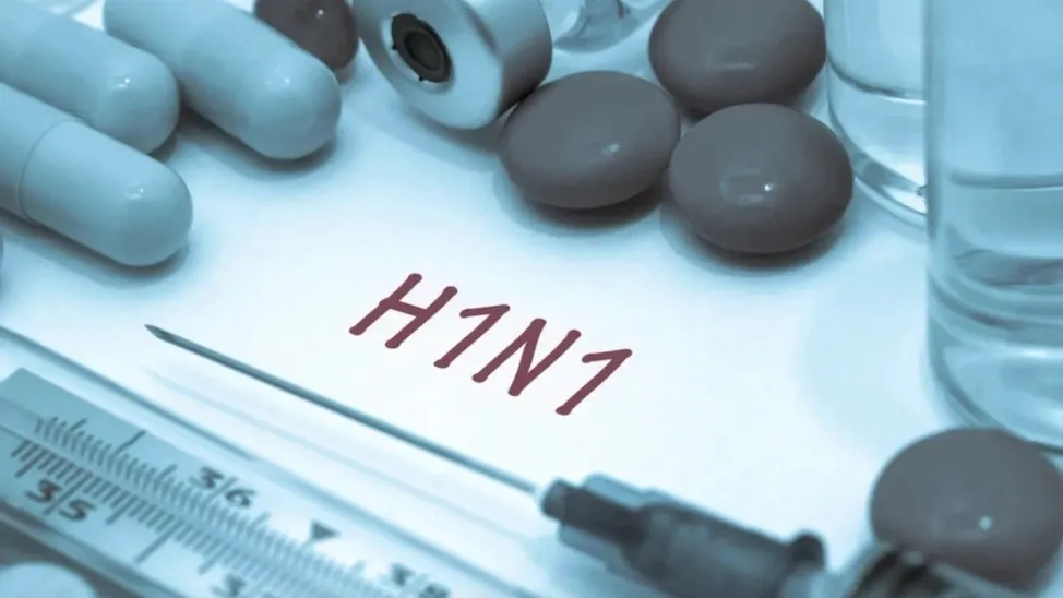 Фото: Green Apple/Shutterstock/Fotodom