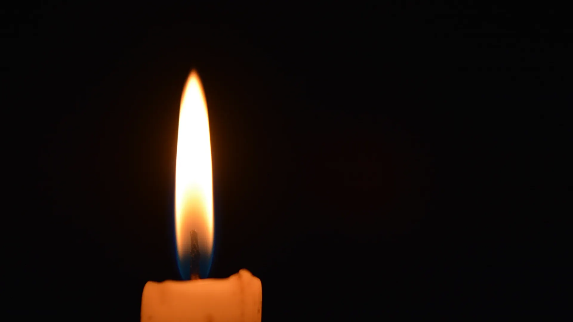 Фото: weha/Shutterstock/Fotodom