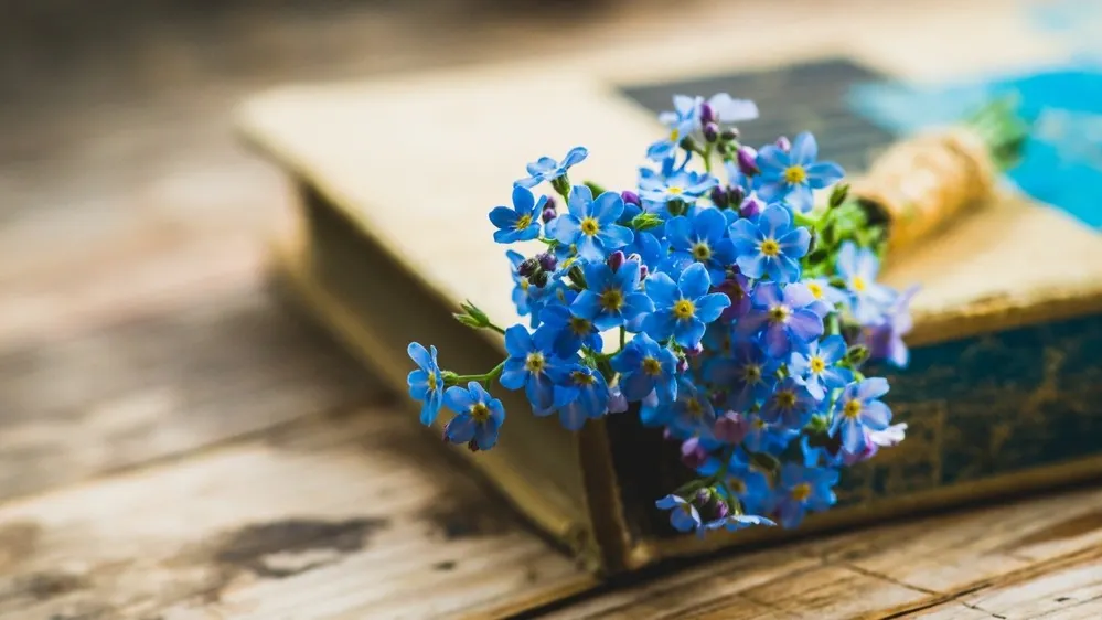 Фото: Andrew Pustiakin/Shutterstock/Fotodom