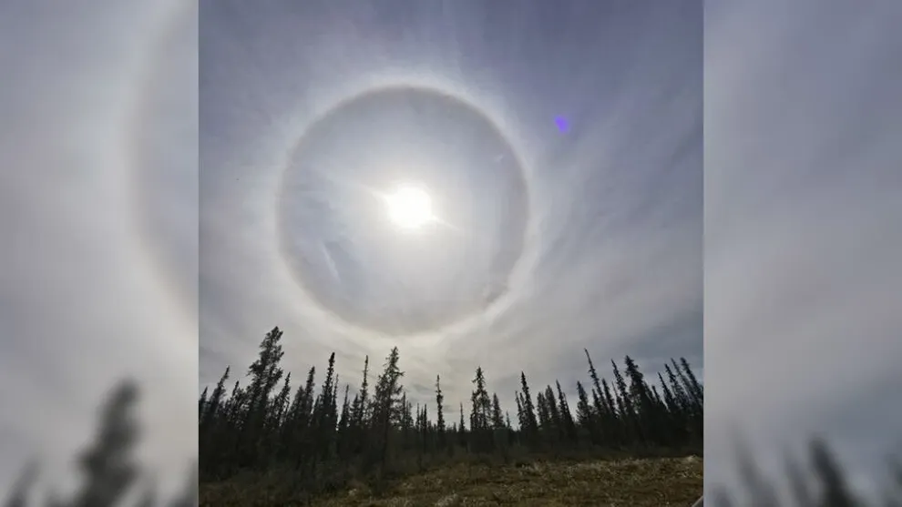 Фото: ИА "Север-Пресс" (предоставлено Зинаидой Кузаковой)