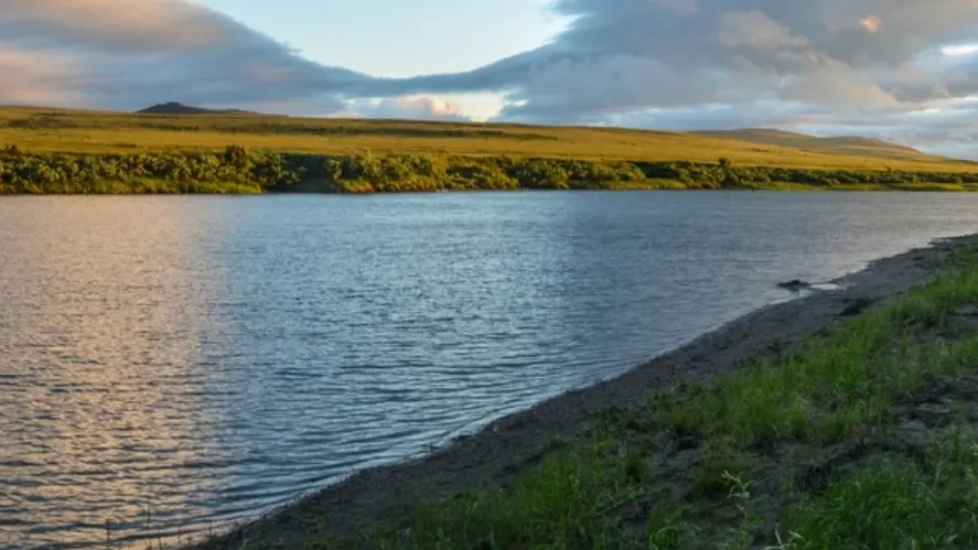 Фото: Sergei Drozd/shutterstock.com/Fotodom