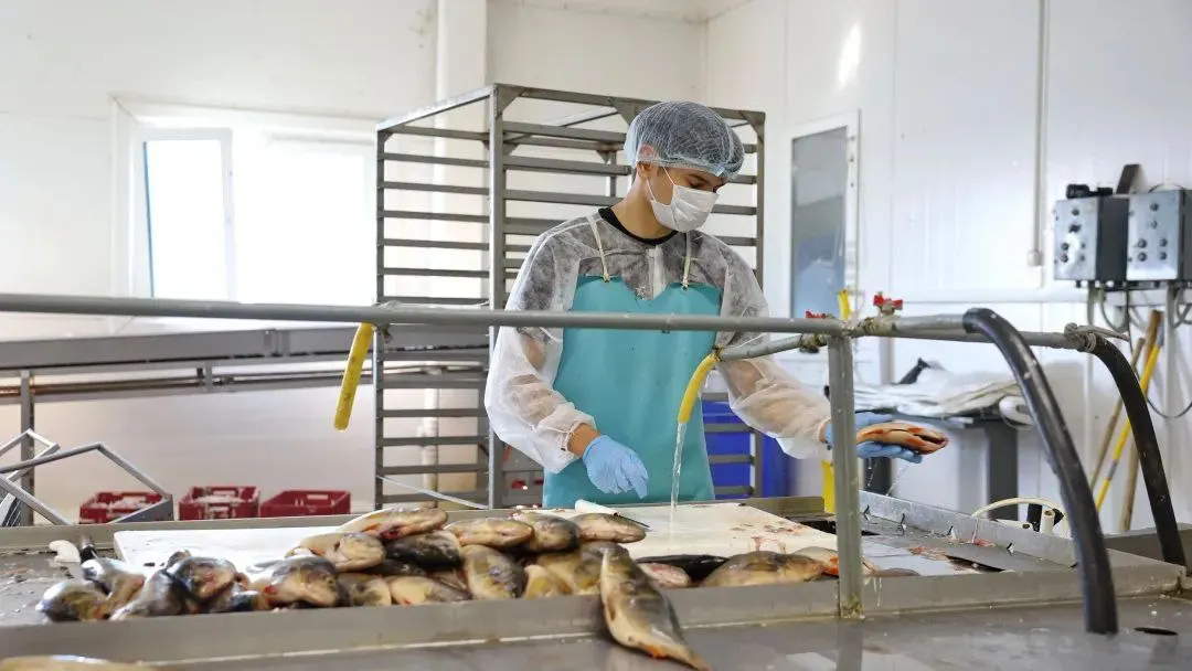 Фото: Андрей Ткачев/«Ямал-Медиа»