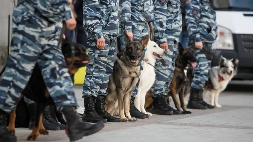 Фото: Salivanchuk Semen/Shutterstock/Fotodom