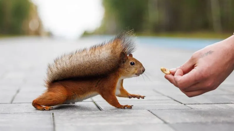 Фото: Чудинова Юлия/«Ямал-Медиа».