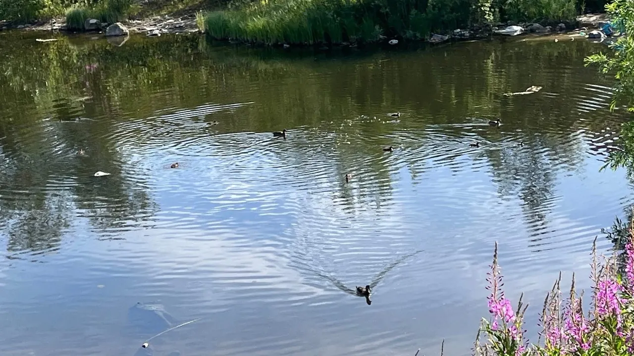 Маргарита Рейзмунт, "ВКонтакте"