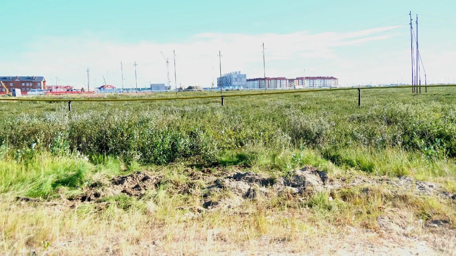 Фото: vk.com/parshakov.vasiliy