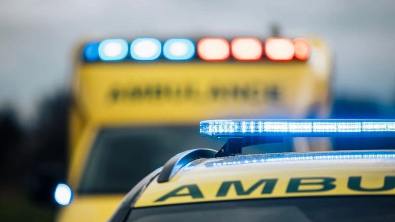 WTOV9: в США олень убил 52-летнюю хозяйку рогами