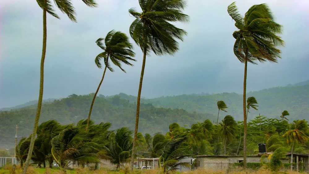 Фото: Triff/Shutterstock/Fotodom