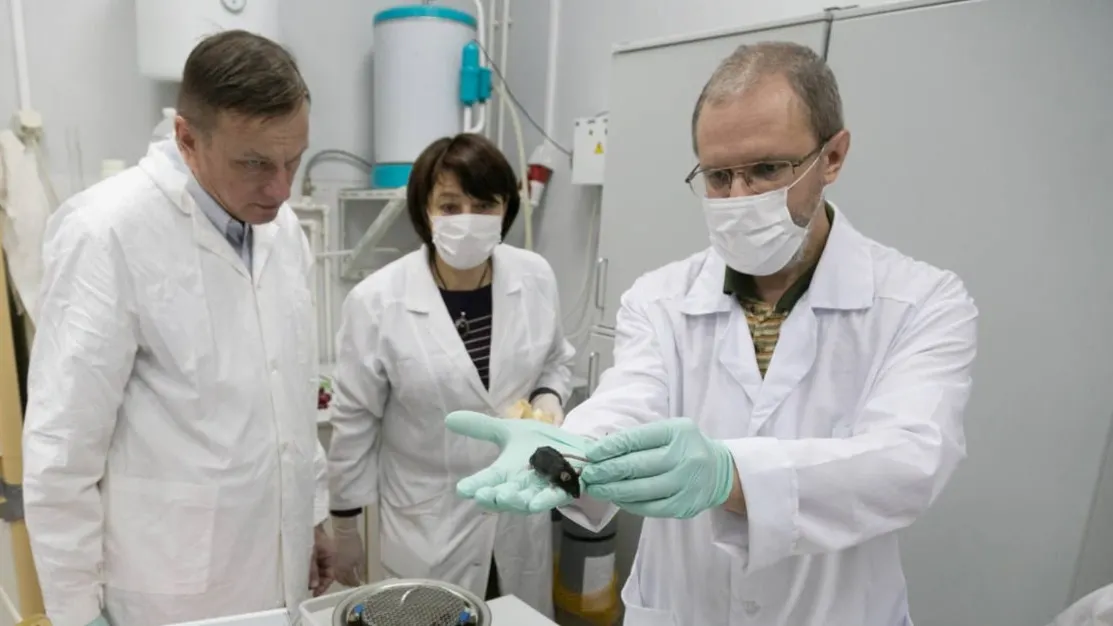 Эксперимент по отработке кормления животных в условиях, имитирующих содержание мышей на биоспутнике «Бион-М2» в ИМБП РАН. Фото: vk.com/imbp_ru