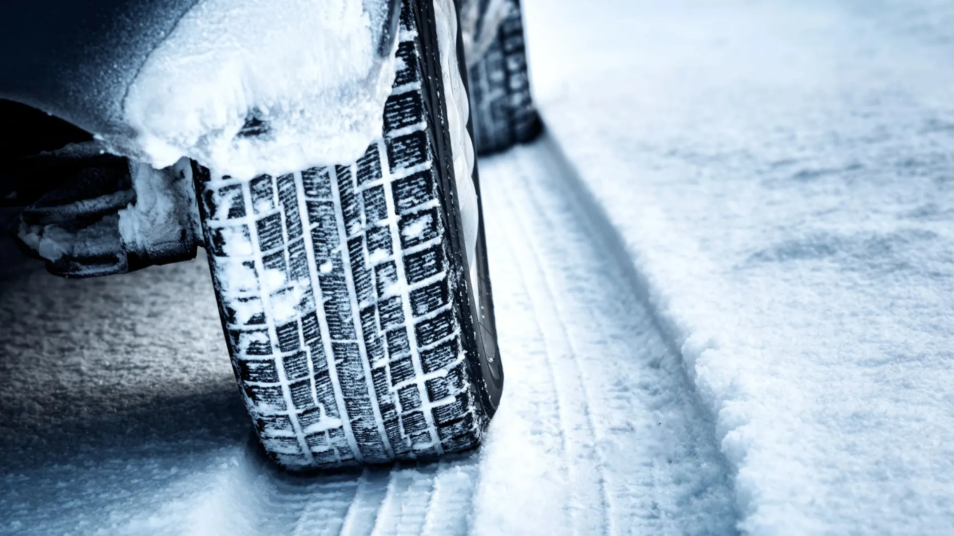 Фото: LeManna/Shutterstock/Fotodom