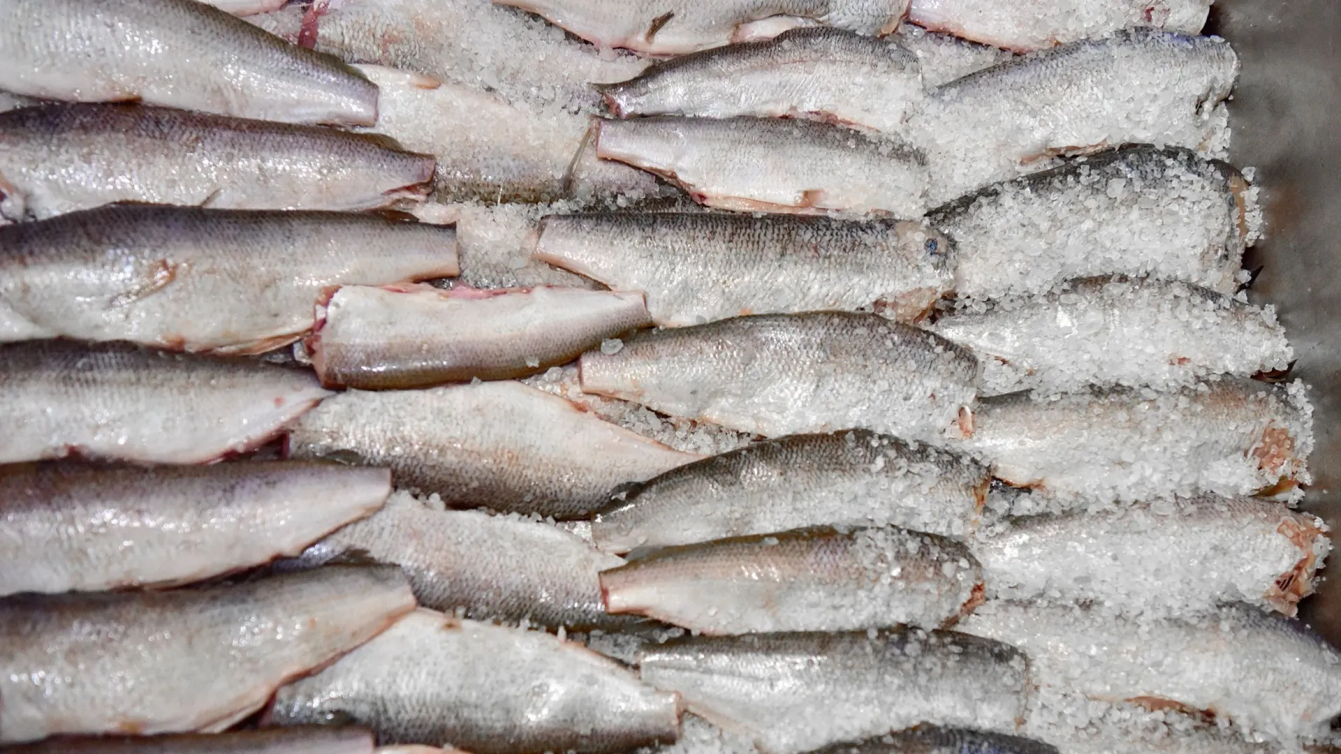 Фото: Андрей Ткачев/«Ямал-Медиа»