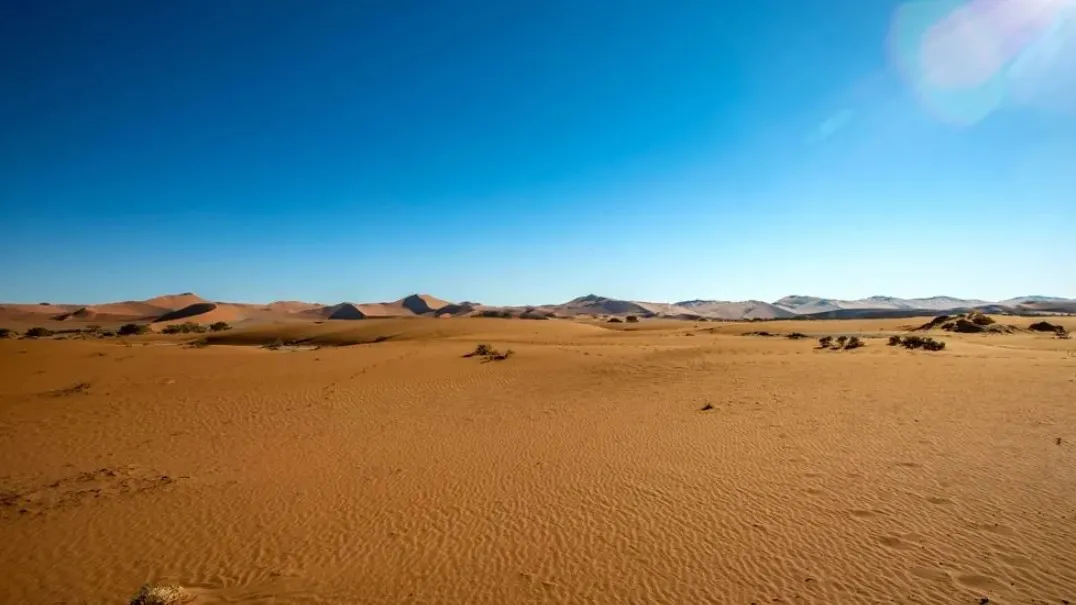 Фото: Five-Birds Photography//Shutterstock/Fotodom