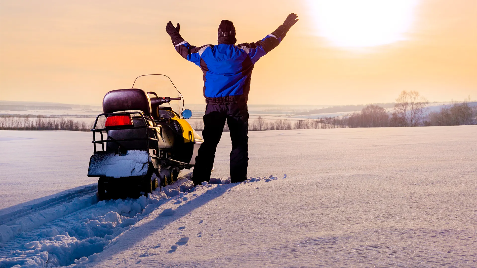 Фото: CHUYKO SERGEY/shutterstock.com