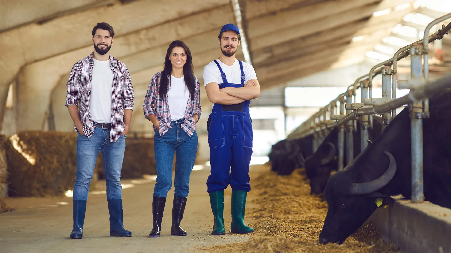 Фото: Studio Romantic/Shutterstock.com