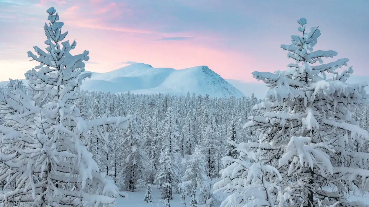 Фото предоставлено пресс-службой губернатора ЯНАО